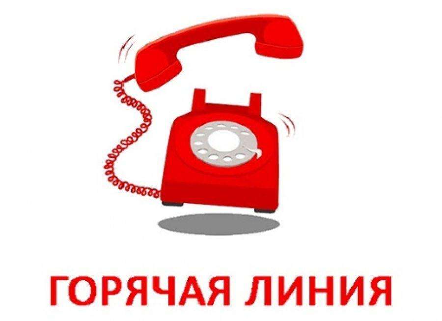 горячая линия