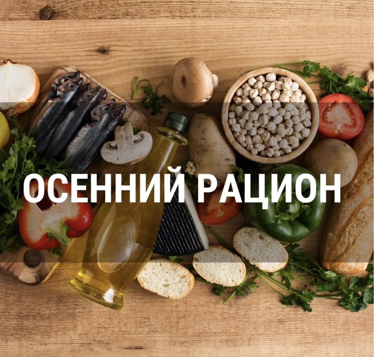 97a5c1f8 bbd6 44e6 95ad 5264e40c1e98